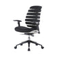 ImpecGear The Spine Office Chair Mid-Back Fabric Mesh Chair with Chrome Base and Adjustable Seat and 2D Arms Rest With Seatslider BLACK TC-101BK